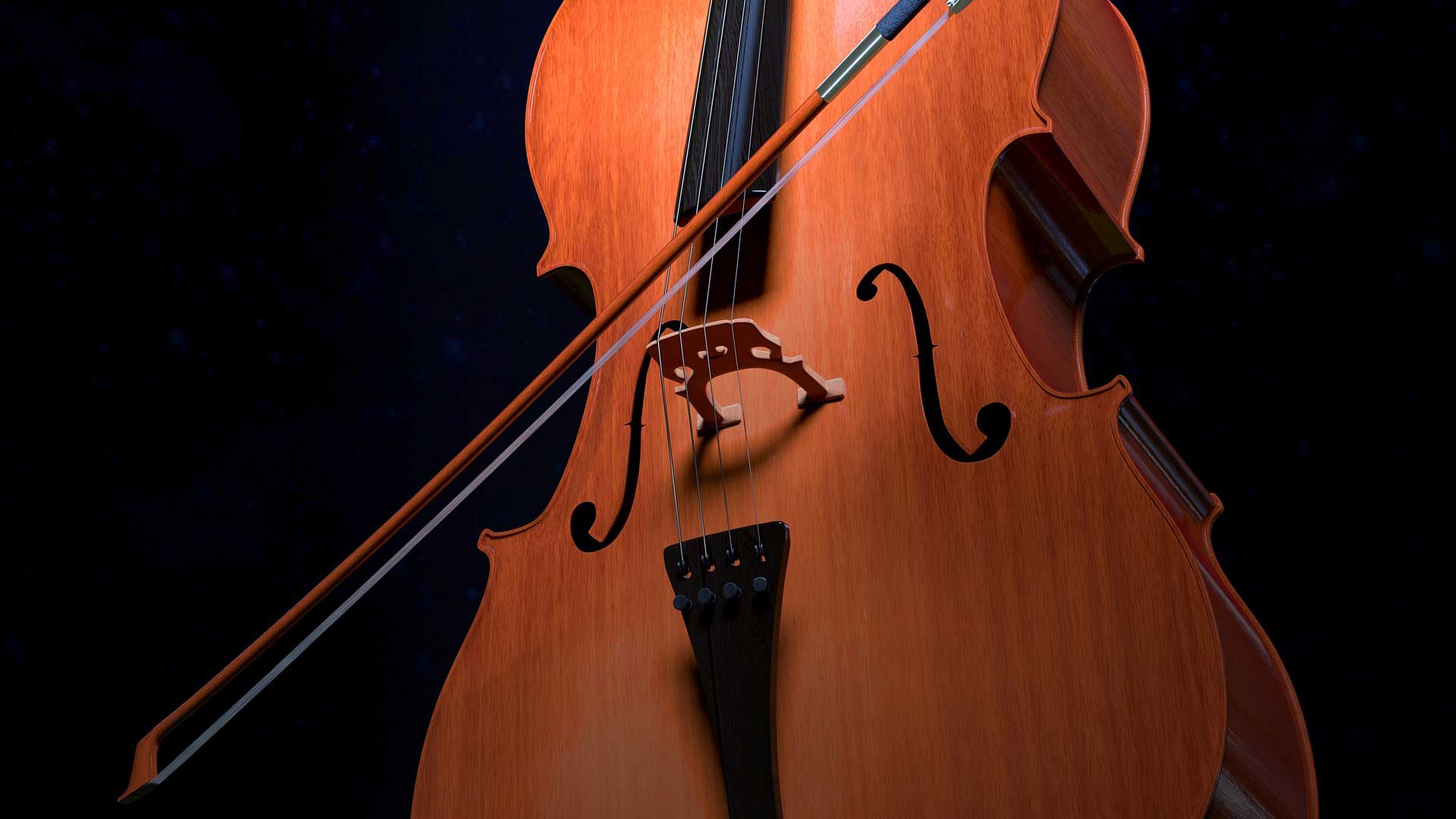Violoncello Musikschule Emmen